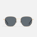 GOLD/SMOKE POLARIZED