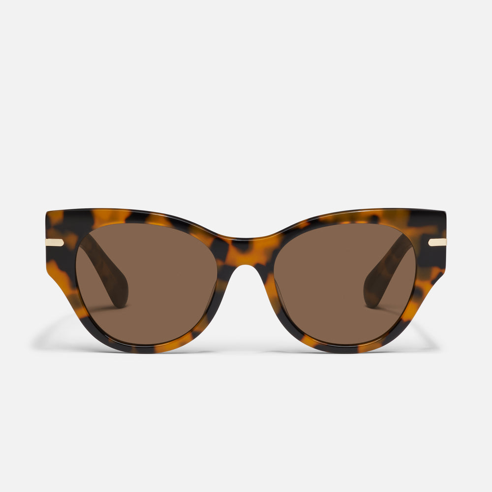 PEBBLE TORT/BROWN